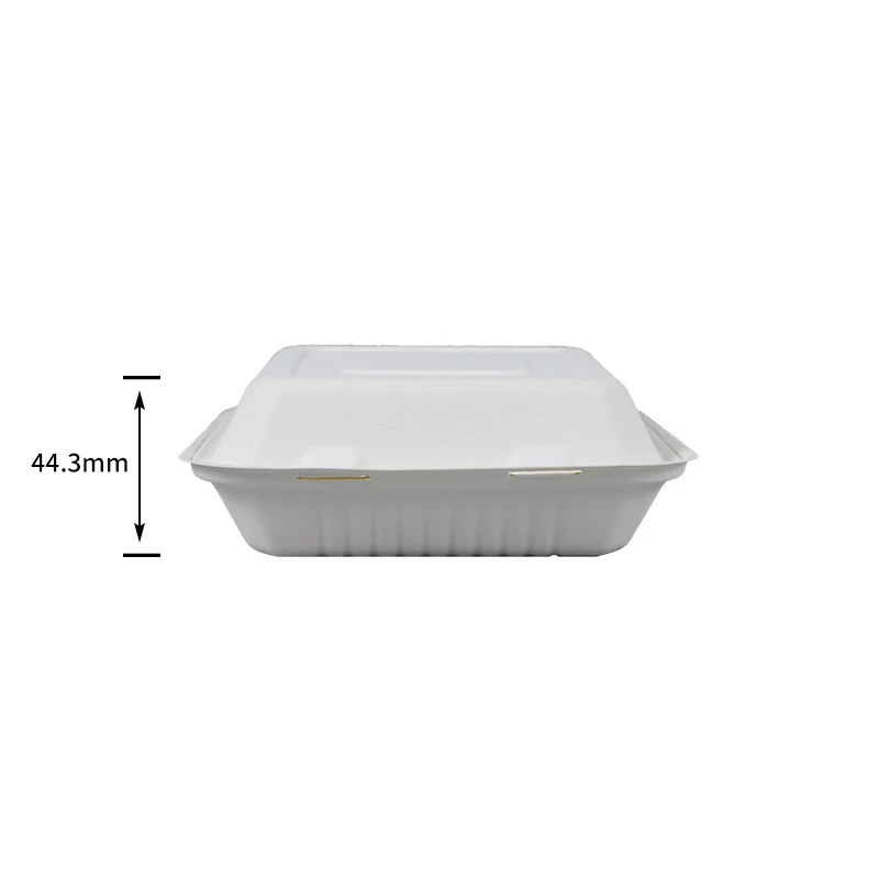 Sugarcane Tableware